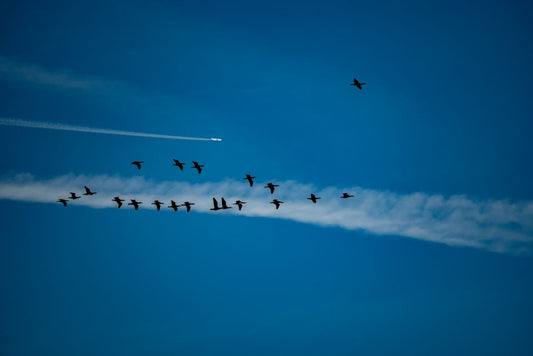 Mapping the Drift: The Precise Science of Keeping Flight Paths Clear