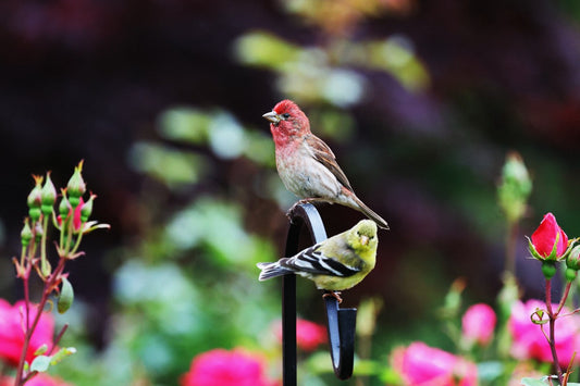 The Hidden Hierarchy of the Ordinary
