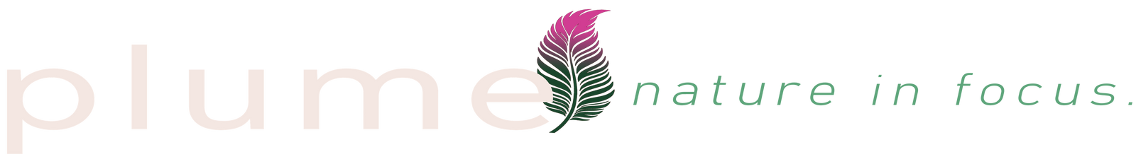 Plume logo with a feather design and text 'nature in focus' on a white background