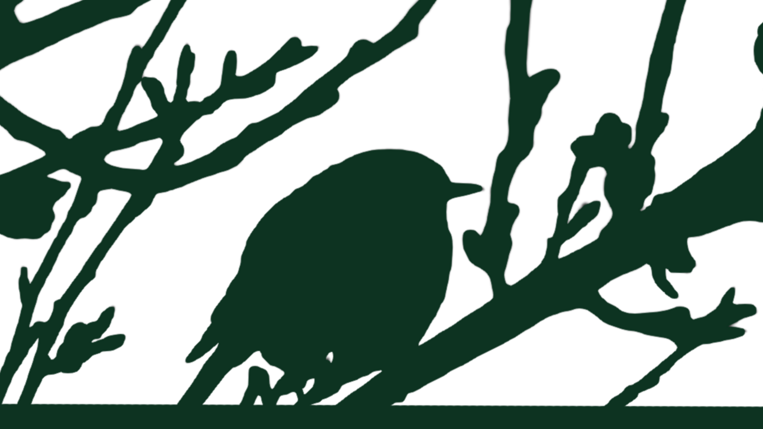 Silhouette of a bird on a branch against a white background
