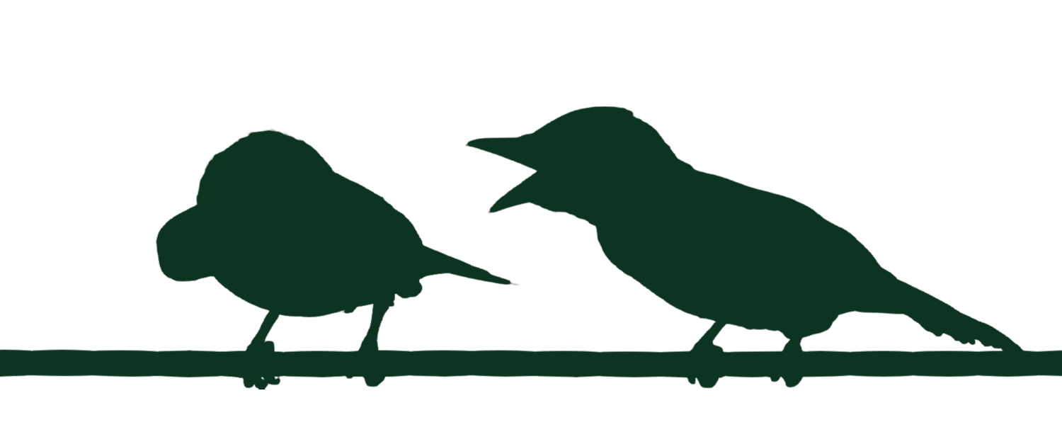 Silhouette of two birds on a wire