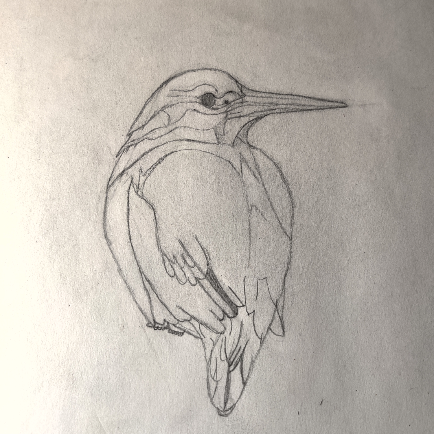 Pencil drawing of a bird on a textured beige background