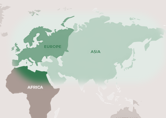 An Alcedo atthis distribution map highlighted in green across an antique-style background, showcasing European kingfisher scientific classification and Order Coraciiformes taxonomy journal details for a mystic nature travel bucket list.