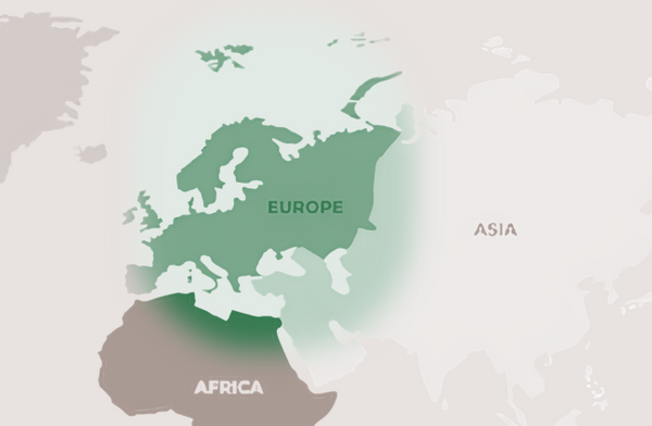 An Erithacus rubecula geographic distribution map highlighted in green across Europe and North Africa, providing historical and scientific context for a vintage field guide aesthetic blog post.